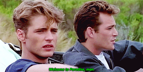 Welcome to paradise 1