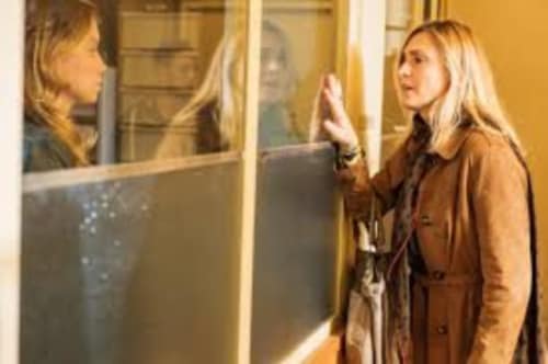 The Perfect Mother Spoiler Free 1