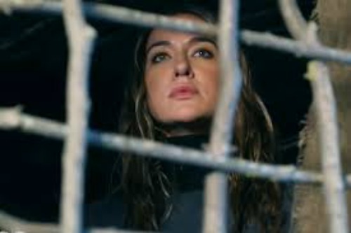 The 100 7 2 2 The CW