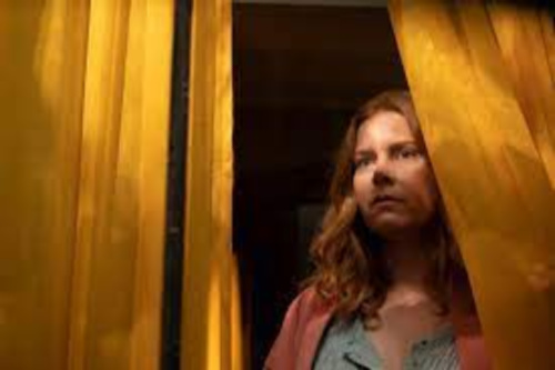 The Woman in the Window Spoiler Free Review 3
